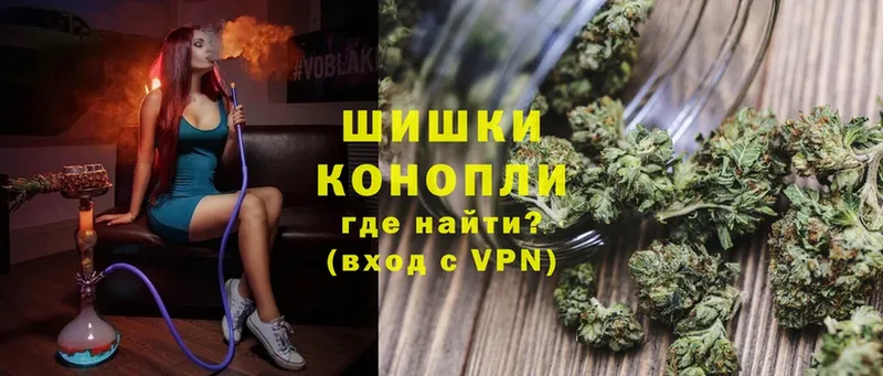 Конопля OG Kush  закладки  Бикин 